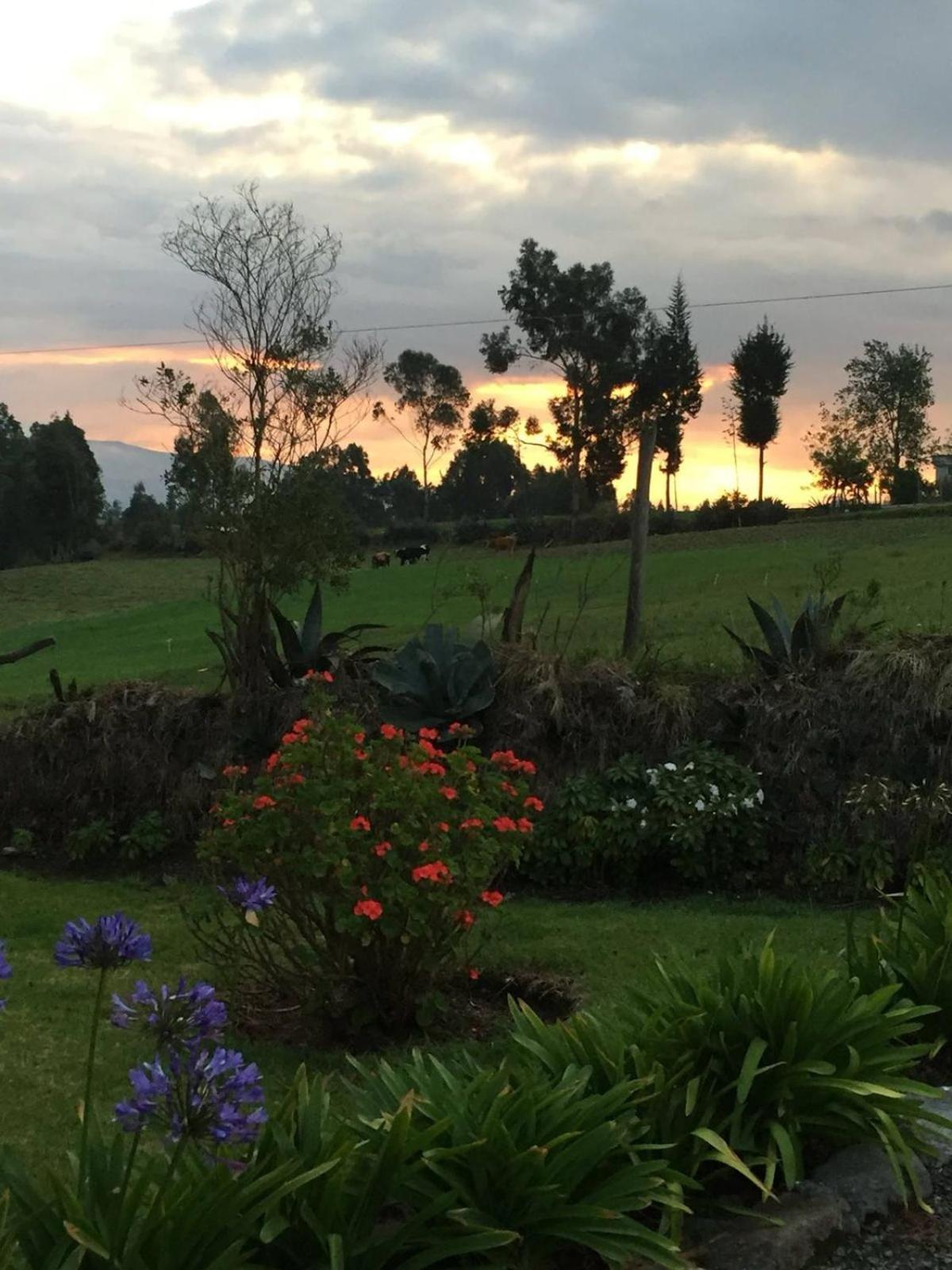 Cottage house Cayambe Dış mekan fotoğraf