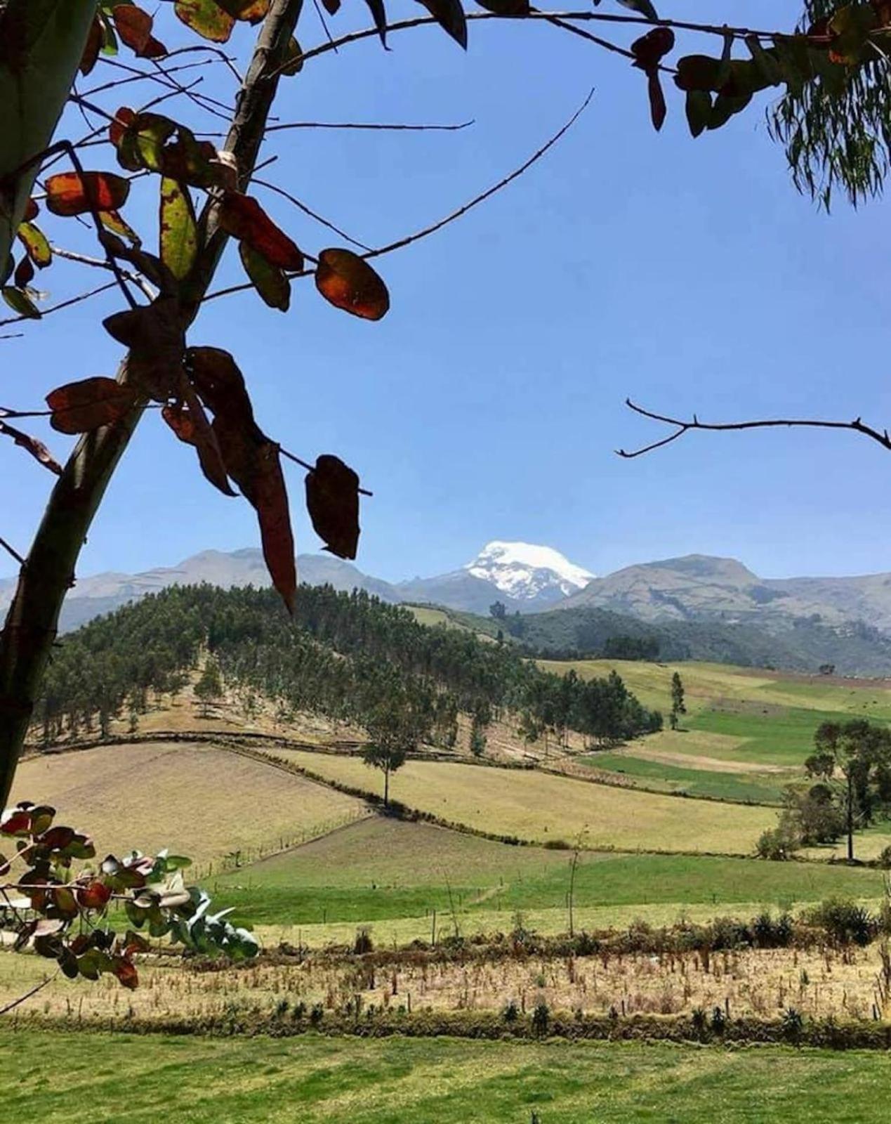 Cottage house Cayambe Dış mekan fotoğraf